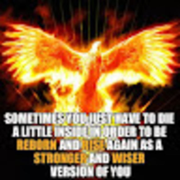 Meet your Posher, Bob - Picture 1 of 1